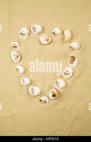 valentine heart made with shells on sand background Stock Photo