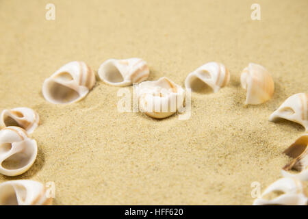 valentine heart made with shells on sand background Stock Photo