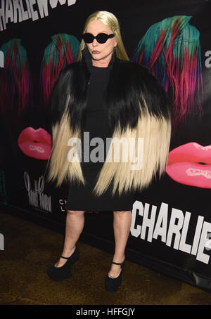 Debbie Harry attends 'Charliewood - An Exhibition Of Transgressive Movement' at Cedar Lake  Featuring: Debbie Harry Where: New York, United States When: 28 Nov 2016 Stock Photo