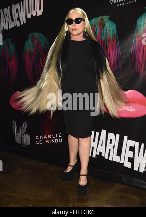 Debbie Harry attends 'Charliewood - An Exhibition Of Transgressive Movement' at Cedar Lake  Featuring: Debbie Harry Where: New York, United States When: 28 Nov 2016 Stock Photo