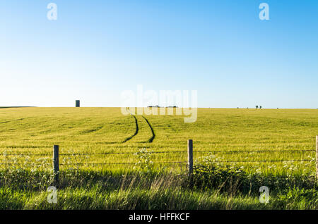 Gate and a fence in a beautiful countryside farm in Salisbury, England Stock Photo