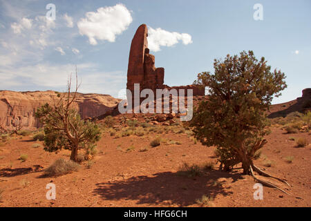 Rock formation in Monument Valley  called the Thumb.  Small shrubs in the foreground frame the rock formation with shadows Stock Photo