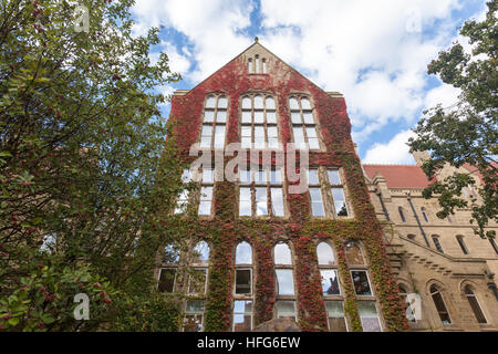 Vines in autumn on Beyer Building in Old Quadrangle, The University of Manchester, UK Stock Photo