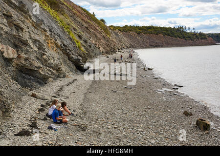 Joggins Fossil Cliffs, Nova Scotia, Canada Stock Photo