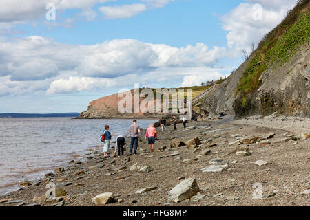 Joggins Fossil Cliffs, Nova Scotia, Canada Stock Photo