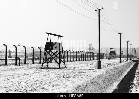 These watch-towers not only surrounded the perimeter of the extermination camp, but also between the railway lines which led in & the 'living' areas. Stock Photo