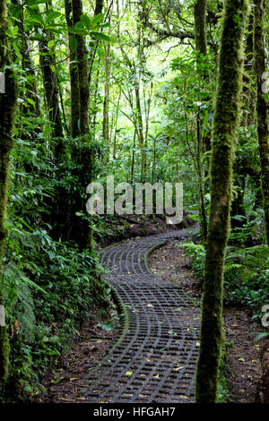 Eco Tours Costa Rica Stock Photo