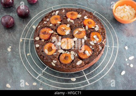 Sticky Chocolate Plum Cake on Cooling Rack Stock Photo