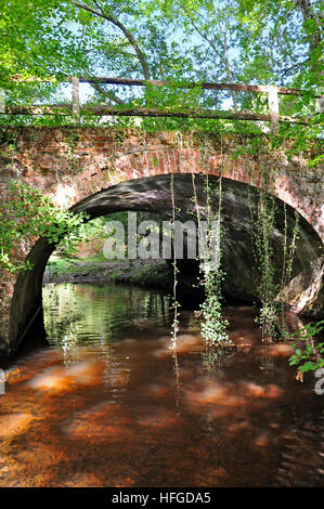 Old Roman bridge over Highland Water stream in the New Forest National Park Stock Photo