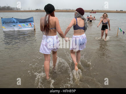 Hohenkirchen, Germany. 01st Jan, 2017. Lena (L) and Marieke are among the over fifty New Year's swimmers taking the opportunity to begin the new year with a swim in the lake in the Wangerland recreational area in Hohenkirchen, Germany, 01 January 2017. With air and water temperatures around four degrees celsius, swimming time was kept short. Photo: Ingo Wagner/dpa/Alamy Live News Stock Photo