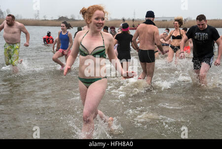 Hohenkirchen, Germany. 01st Jan, 2017. Over fifty New Year's swimmers begin the new year with a swim in the lake in the Wangerland recreational area in Hohenkirchen, Germany, 01 January 2017. With air and water temperatures around four degrees celsius, swimming time was kept short. Photo: Ingo Wagner/dpa/Alamy Live News Stock Photo