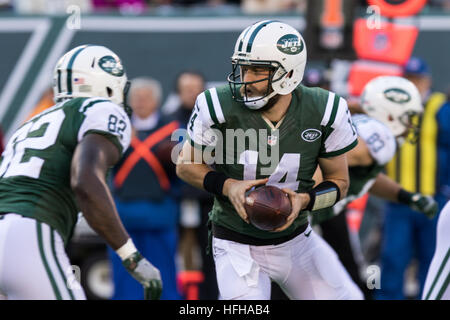 Buffalo Bills Ryan Fitzpatrick (14) hands off to Marshawn Lynch (23) in  this NFL football game between the Buffalo Bills and Jacksonville Jaguars  at Municipal Stadium in Jacksonville, Florida. The Jaguars defeated