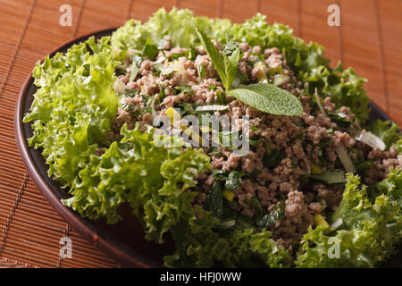 Asian cuisine: salad of minced meat with herbs close-up on a plate. horizontal Stock Photo