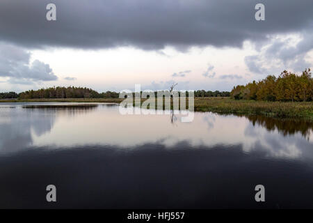 Cloud reflections at Green Cay Wetlands - Boynton Beach, Florida USA Stock Photo