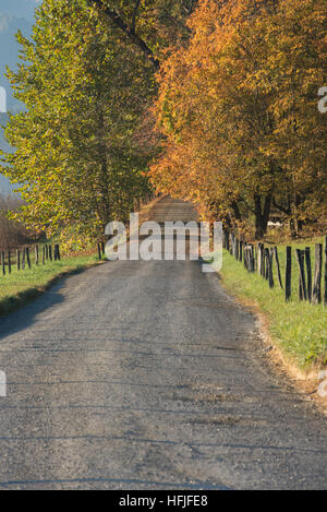 Gravel Road in Fall in a quiet moment in Cades Cove Stock Photo