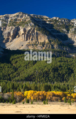 Taylor Mountain in Centennial Mountains, Red Rock Lakes National Wildlife Refuge, Montana Stock Photo