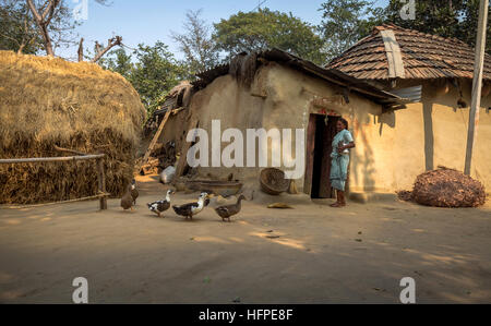 Rural Indian village in Bankura, West Bengal with mud huts, poultry and an old tribal woman standing on the courtyard. Stock Photo