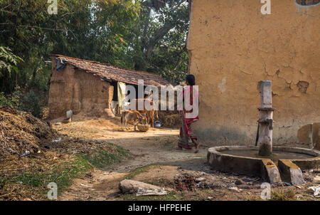 Indian rural village scene with mud houses, cattle, a tribal woman and a deep tube well in the foreground. Stock Photo