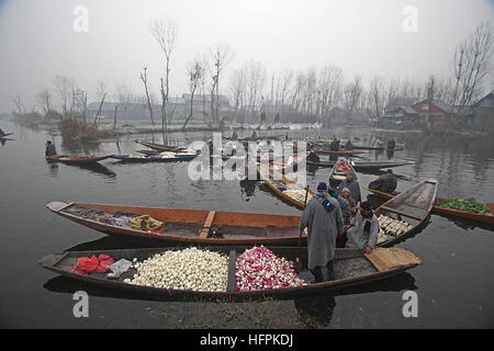 India. 31st Dec, 2016. Kashmiri men adjust their boats as they sell vegetables at the floating vegetable market in the interiors of famed Dal Lake in Srinagar, the summer capital of Indian controlled Kashmir on December 31, 2016. Vegetables sold in the floating market are supplied to many parts of Srinagar across the Kashmir. Selling vegetables has been the major source of income for the inhabitants of interiors of Dal Lake. © Faisal Khan/Pacific Press/Alamy Live News Stock Photo