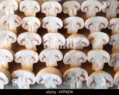 An army of mushrooms ready for cooking Stock Photo