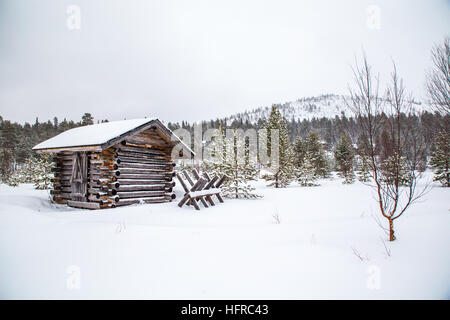 Steady snowfall overnight and -5 Centigrade temperatures contributed to a beautiful white Christmas, today 25th December 2016, in Salla, Finland. Stock Photo