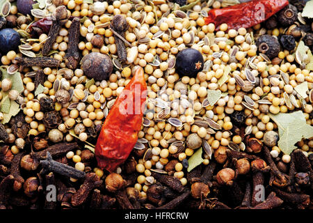 Pickling spice: mustard seeds, dried chili peppers, juniper berries, cloves, coriander and bay leaves Stock Photo