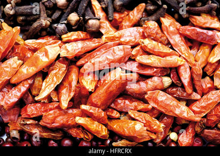 Dried chili peppers Stock Photo