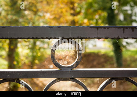 A spider web with droplets in a fence in Autumn cold morning Stock Photo