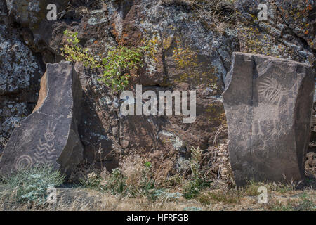 Native American petroglyphs of a centipede and a stag. Horsethief Lake, Washington State, USA. Stock Photo