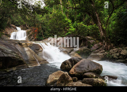 Josephine Falls in  Wooroonooran National Park, near Bartle Frere, 75km from Cairns. Stock Photo