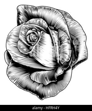 A single rose flower in a vintage retro engraved etching woodcut style Stock Photo