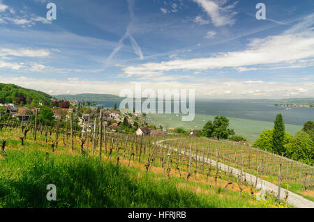 Salenstein: View from Arenenberg Castle to Lake Constance and Mannenbach, , Thurgau, Switzerland Stock Photo