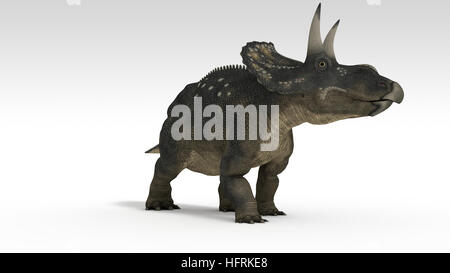 3d illustration of the diceratops isolated on white Stock Photo