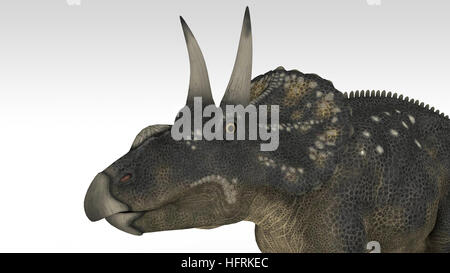 3d illustration of the diceratops isolated on white Stock Photo