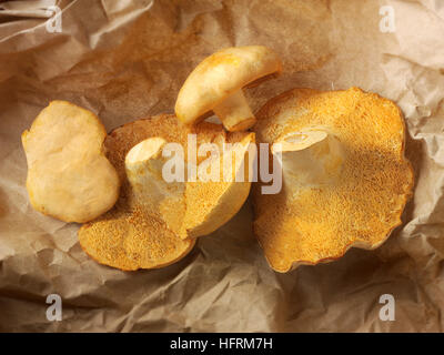 Organic Pied de Mouton Mushrooms (hydnum repandum), hedgehog mushrooms Stock Photo