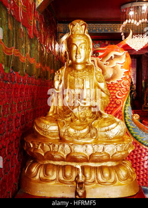 Guanyin bodhisattva statue in Chinese shrine of Lady princess Soi Dok Mak (Betel Nut Blossom) a local goddess for people praying in Wat Phanan Choeng Stock Photo
