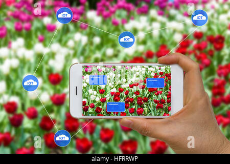 App on smart device showing smart farming agriculture concept using cloud, big data, and augmented reality, AR. Stock Photo