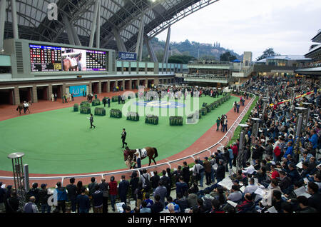 Hong Kong, Hong Kong. 01st Jan, 2017. 100,000 racing fans can't wait to try their luck at Hong Kong Jockey Club's 'Lucky Star January 1 Race Day' in Shatin Racecourse. 1st January 2017 © Alda Tsang/Pacific Press/Alamy Live News Stock Photo