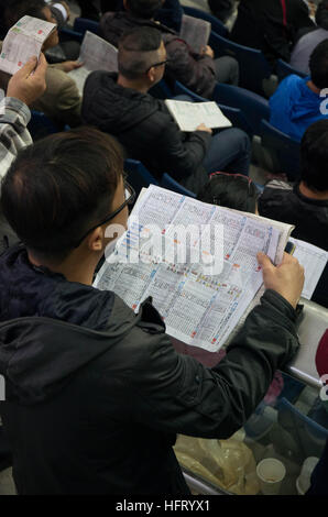 Hong Kong, Hong Kong. 01st Jan, 2017. 100,000 racing fans can't wait to try their luck at Hong Kong Jockey Club's 'Lucky Star January 1 Race Day' in Shatin Racecourse. 1st January 2017 © Alda Tsang/Pacific Press/Alamy Live News Stock Photo