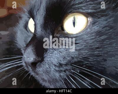 Cat illustration with big yellow eyes. BLACK COLOR . FOR USE design, decoration, printing, smart phone, website, etc Stock Vector
