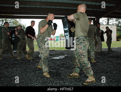 070315-N-7427G-001 NEW ORLEANS (March 15, 2007) Ñ Sgt. Maj. Wayne Rumore prepares to strike a punching bag held by Lt. Col. David Bellon as part of green belt martial arts class hosted by the 3rd Marine Expeditionary Unit, 23rd Battalion. This course certifies the attendees as instructors in disciplined forms of unarmed combat. U.S. Navy photo by Mass Communication Specialist 1st Class Shawn Graham (RELEASED) US Navy 070315-N-7427G-001 Sgt. Maj. Wayne Rumore prepares to strike a punching bag held by Lt. Col. David Bellon as part of green belt martial arts class hosted by the 3rd Marine Expedit Stock Photo