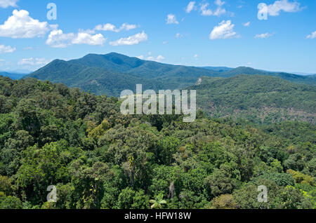 aerial from skyrail above rainforest canopy in barron gorge national park and mountain peaks along horizon near cairns of queensland australia Stock Photo