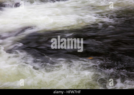 A small Autumn leaf floating along in a swirling river. Stock Photo