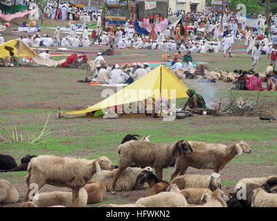 Warkaris or pilgrims, Pandharpur Yatra at Alandi, Maharashtra, India Stock Photo