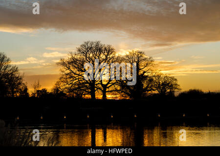 Sunset behind silhouetted leafless trees with lake reflections in winter at the Christmas Glow event at RHS Wisley, Surrey, UK Stock Photo