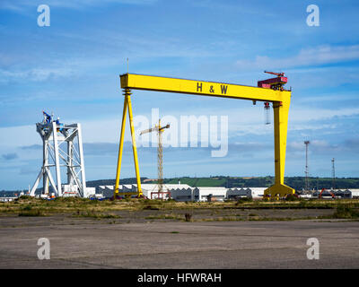 Samson crane. One of two twin shipbuilding gantry cranes in Titanic quarter, famous landmark of Belfast. Stock Photo