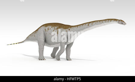 3d illustration of the apatosaurus isolated on white Stock Photo