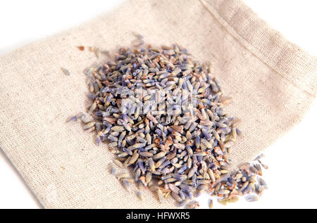 dry lavender flowers on burlap bag over white background Stock Photo
