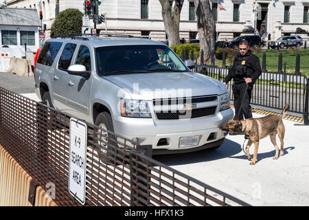 K-9 Bomb-sniffing Dog around White House Security Perimeter. Washington ...