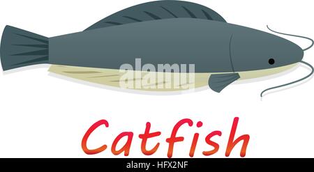 Cartoon catfish in flat style, vector design Stock Vector